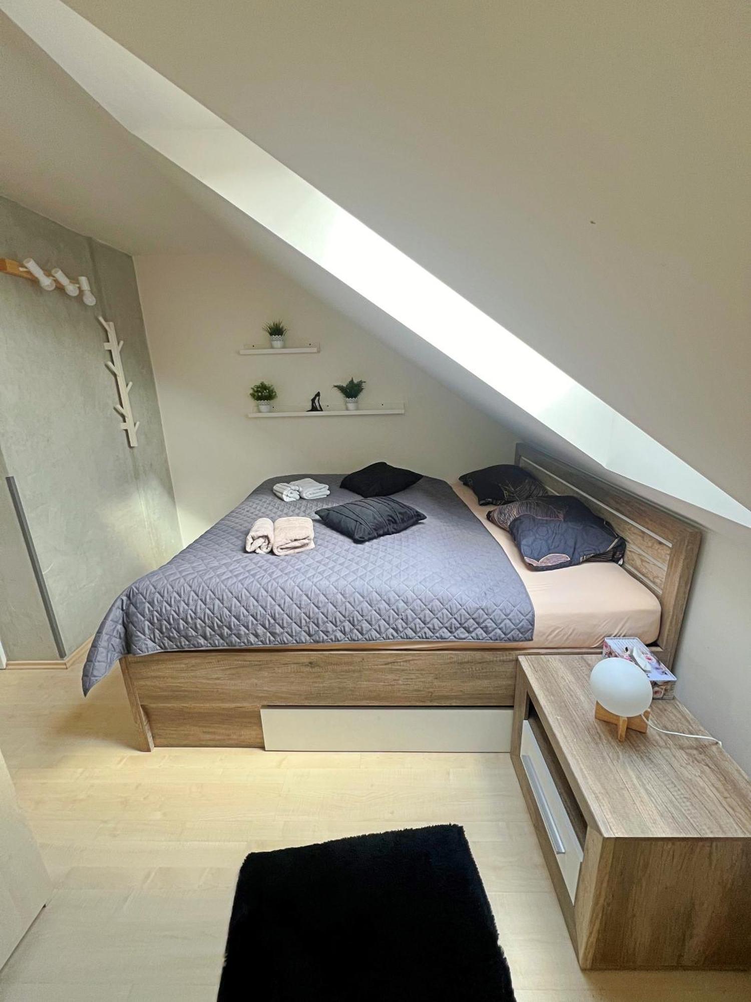 Apartament Mezonetovy V Centru Praga
